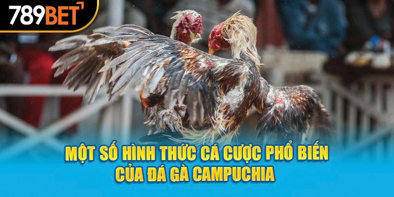 Những sản phẩm đá gà Campuchia phổ biến