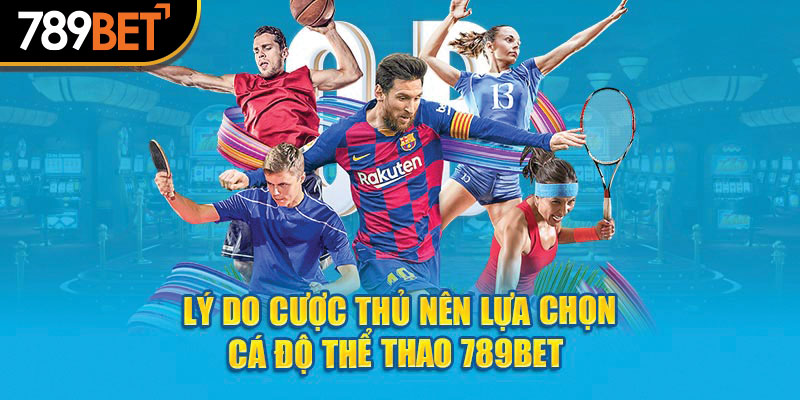 Lý do cược thủ nên lựa chọn cá độ thể thao 789bet